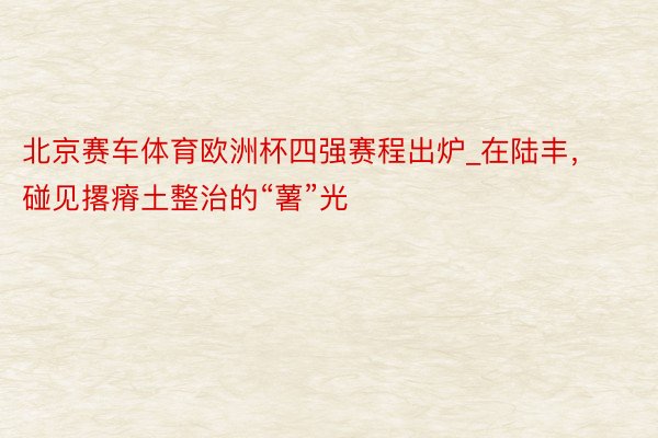 北京赛车体育欧洲杯四强赛程出炉_在陆丰，碰见撂瘠土整治的“薯”光