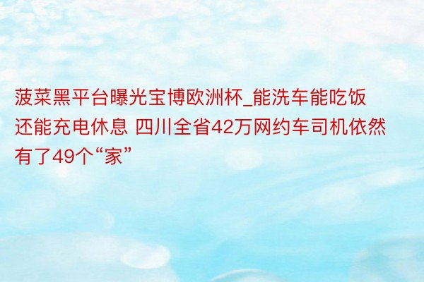 菠菜黑平台曝光宝博欧洲杯_能洗车能吃饭还能充电休息 四川全省42万网约车司机依然有了49个“家”